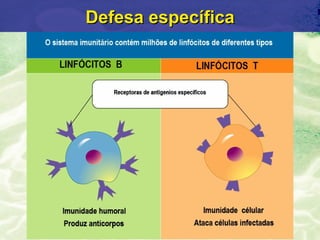 Defesa específica
 