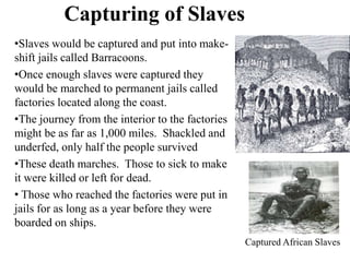 Capturing of Slaves
•Slaves would be captured and put into make-
shift jails called Barracoons.
•Once enough slaves were captured they
would be marched to permanent jails called
factories located along the coast.
•The journey from the interior to the factories
might be as far as 1,000 miles. Shackled and
underfed, only half the people survived
•These death marches. Those to sick to make
it were killed or left for dead.
• Those who reached the factories were put in
jails for as long as a year before they were
boarded on ships.
Captured African Slaves
 