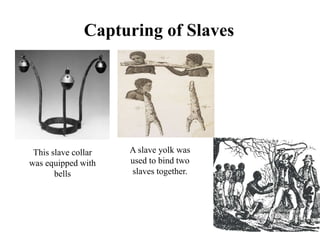 Capturing of Slaves
This slave collar
was equipped with
bells
A slave yolk was
used to bind two
slaves together.
 
