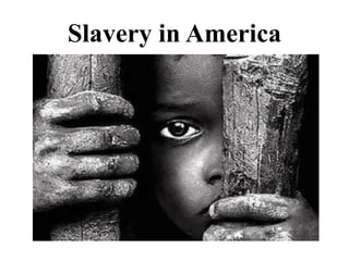 Slavery in America
 
