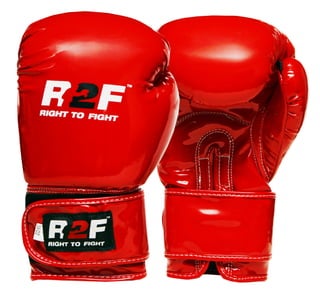 Boxing Gloves MMA Punching Kickboxing Fighting Sparring Training Bag Muay Thai
