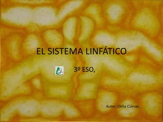EL SISTEMA LINFÁTICO
        3º ESO,



                  Autor: Otilia Cuevas
 