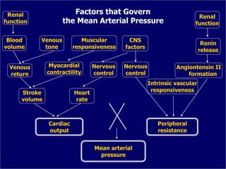 Renal
function
Blood
volume
Venous
tone
Venous
return
Heart
rate
Nervous
control
Muscular
responsiveness
Myocardial
contractility
Stroke
volume
Cardiac
output
CNS
factors
Renin
release
Angiontensin II
formation
Intrinsic vascular
responsiveness
Peripheral
resistance
Nervous
control
Renal
function
Mean arterial
pressure
Factors that Govern
the Mean Arterial Pressure
 