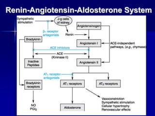 Renin-Angiotensin-Aldosterone System
 