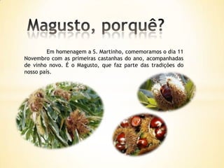 Em homenagem a S. Martinho, comemoramos o dia 11
Novembro com as primeiras castanhas do ano, acompanhadas
de vinho novo. É o Magusto, que faz parte das tradições do
nosso país.
 