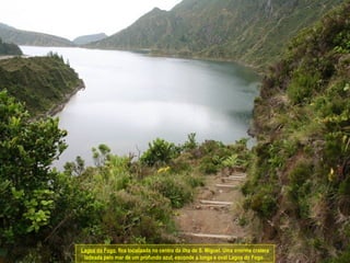 Lagoa do Fogo, fica localizada no centro da ilha de S. Miguel. Uma enorme cratera
 ladeada pelo mar de um profundo azul, esconde a longa e oval Lagoa do Fogo.
 