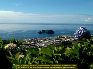 Ilhéu de Vila Franca , situado nas proximidades de Vila Franca do Campo, é uma Reserva Natural, que dista cerca de 1km da costa. Existe transportes regulares para quem queira visitar o ilhéu. 
