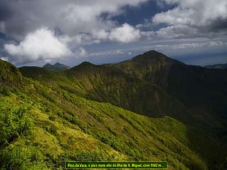 Pico da Vara , o pico mais alto da Ilha de S. Miguel, com 1082 m .   