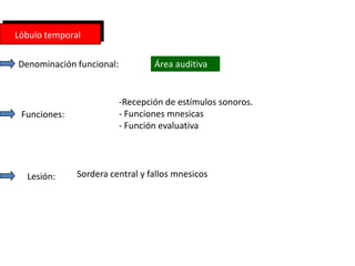 Lóbulo temporal

Denominación funcional:           Área auditiva


                          -Recepción de estímulos sonoros.
 Funciones:               - Funciones mnesicas
                          - Función evaluativa




  Lesión:     Sordera central y fallos mnesicos
 
