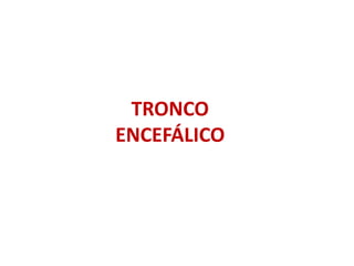 TRONCO
ENCEFÁLICO
 