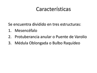 Características

Se encuentra dividido en tres estructuras:
1. Mesencéfalo
2. Protuberancia anular o Puente de Varolio
3. Médula Oblongada o Bulbo Raquídeo
 