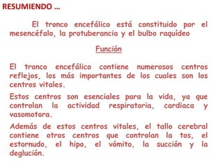 RESUMIENDO …

      El tronco encefálico está constituido por el
 mesencéfalo, la protuberancia y el bulbo raquídeo

                       Función

 El tronco encefálico contiene numerosos centros
 reflejos, los más importantes de los cuales son los
 centros vitales.
 Estos centros son esenciales para la vida, ya que
 controlan la actividad respiratoria, cardiaca y
 vasomotora.
 Además de estos centros vitales, el tallo cerebral
 contiene otros centros que controlan la tos, el
 estornudo, el hipo, el vómito, la succión y la
 deglución.
 