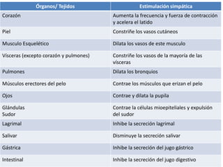 Órganos/ Tejidos                      Estimulación simpática
Corazón                                 Aumenta la frecuencia y fuerza de contracción
                                        y acelera el latido
Piel                                    Constriñe los vasos cutáneos

Musculo Esquelético                     Dilata los vasos de este musculo

Vísceras (excepto corazón y pulmones)   Constriñe los vasos de la mayoría de las
                                        vísceras
Pulmones                                Dilata los bronquios

Músculos erectores del pelo             Contrae los músculos que erizan el pelo

Ojos                                    Contrae y dilata la pupila

Glándulas                               Contrae la células mioepiteliales y expulsión
Sudor                                   del sudor
Lagrimal                                Inhibe la secreción lagrimal

Salivar                                 Disminuye la secreción salivar

Gástrica                                Inhibe la secreción del jugo gástrico

Intestinal                              Inhibe la secreción del jugo digestivo
 