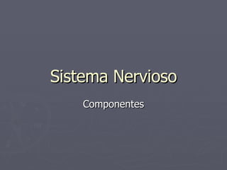 Sistema Nervioso Componentes 