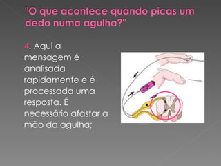 4 . Aqui a mensagem é analisada rapidamente e é processada uma resposta. É necessário afastar a mão da agulha; 