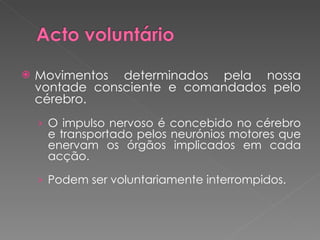 Movimentos determinados pela nossa vontade consciente e comandados pelo cérebro. O impulso nervoso é concebido no cérebro e transportado pelos neurónios motores que enervam os órgãos implicados em cada acção. Podem ser voluntariamente interrompidos. 