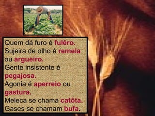 Quem dá furo é  fulêro. Sujeira de olho é  remela  ou  argueiro. Gente insistente é  pegajosa. Agonia é  aperreio  ou  gastura. Meleca se chama  catôta. Gases se chamam  bufa . 