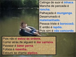 Catinga de suor é  inhaca . Mancha de pancada é  roncha. Palhaçada é  munganga. Desarrumado é  malamanhado. Pessoa triste é  borocoxô. E então é  iapôis. Pois sim é  não concordo . Pois não é  estou as ordens. Correr atrás de alguém é  dar carreira . Passear é  bater perna . Fofoca é  resenha. Estouro se chama  pipôco. 