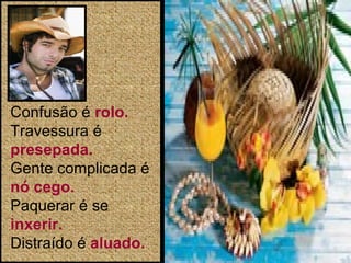 Confusão é  rolo. Travessura é  presepada. Gente complicada é  nó cego. Paquerar é se  inxerir. Distraído é  aluado. 