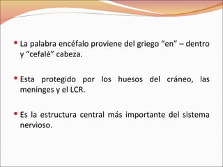 La palabra encéfalo proviene del griego “en” – dentro y “cefalé” cabeza. Esta protegido por los huesos del cráneo, las meninges y el LCR. Es la estructura central más importante del sistema nervioso. 