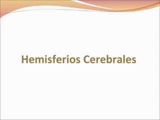 Hemisferios Cerebrales 