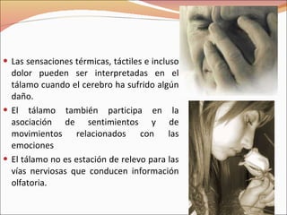 Las sensaciones térmicas, táctiles e incluso dolor pueden ser interpretadas en el tálamo cuando el cerebro ha sufrido algún daño. El tálamo también participa en la asociación de sentimientos y de movimientos relacionados con las emociones El tálamo no es estación de relevo para las vías nerviosas que conducen información olfatoria. 