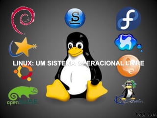 OpenSUSE simplificou a instalação do H.264 no sistema