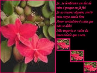 Se...te lembrares um dia de mim é porque eu já fui Se ao tocares alguém, sentir meu corpo ainda bem Amor verdadeiro é coisa que não se dilui Não importa o  valor da intensidade que o tem. . . . 
