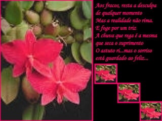 Aos fracos, resta a desculpa de qualquer momento Mas a realidade não rima. E foge por um triz A chuva que rega é a mesma que seca o suprimento O astuto ri...mas o sorriso está guardado ao feliz... . . . 