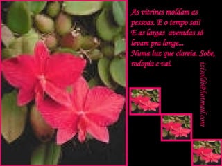 As vitrines moldam as pessoas. E o tempo sai! E as largas  avenidas só levam pra longe... Numa luz que clareia. Sobe, rodopia e vai. [email_address] . . . 