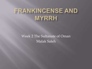 Frankincense and Myrrh Week 2 The Sultanate of Oman  Malak Saleh 