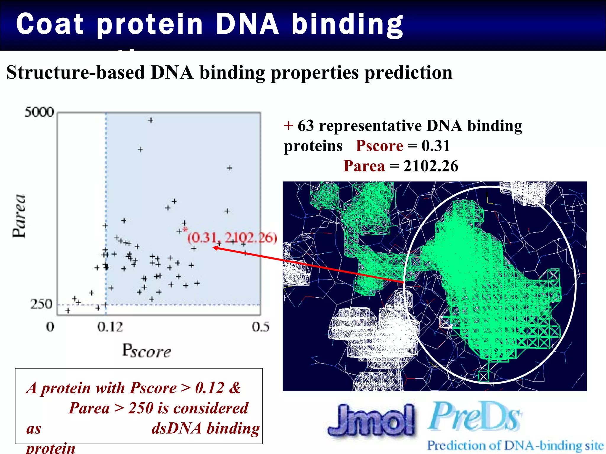 Coat protein DNA binding properties Structure-based DNA binding properties prediction +  63 representative DNA binding proteins  Pscore  = 0.31  Parea  = 2102.26  A protein with Pscore > 0.12 &  Parea > 250 is considered as  dsDNA binding protein 