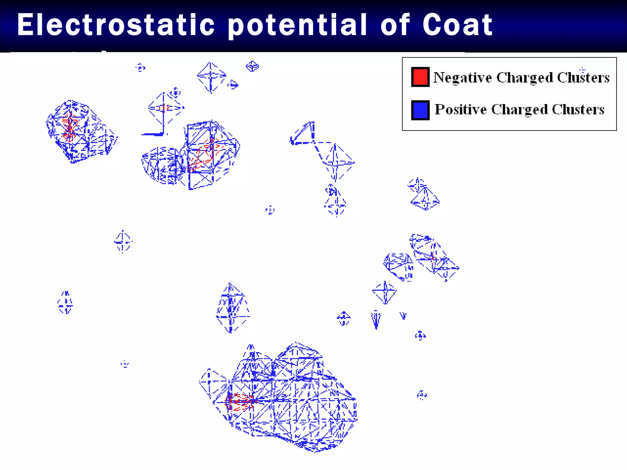 Electrostatic potential of Coat protein 