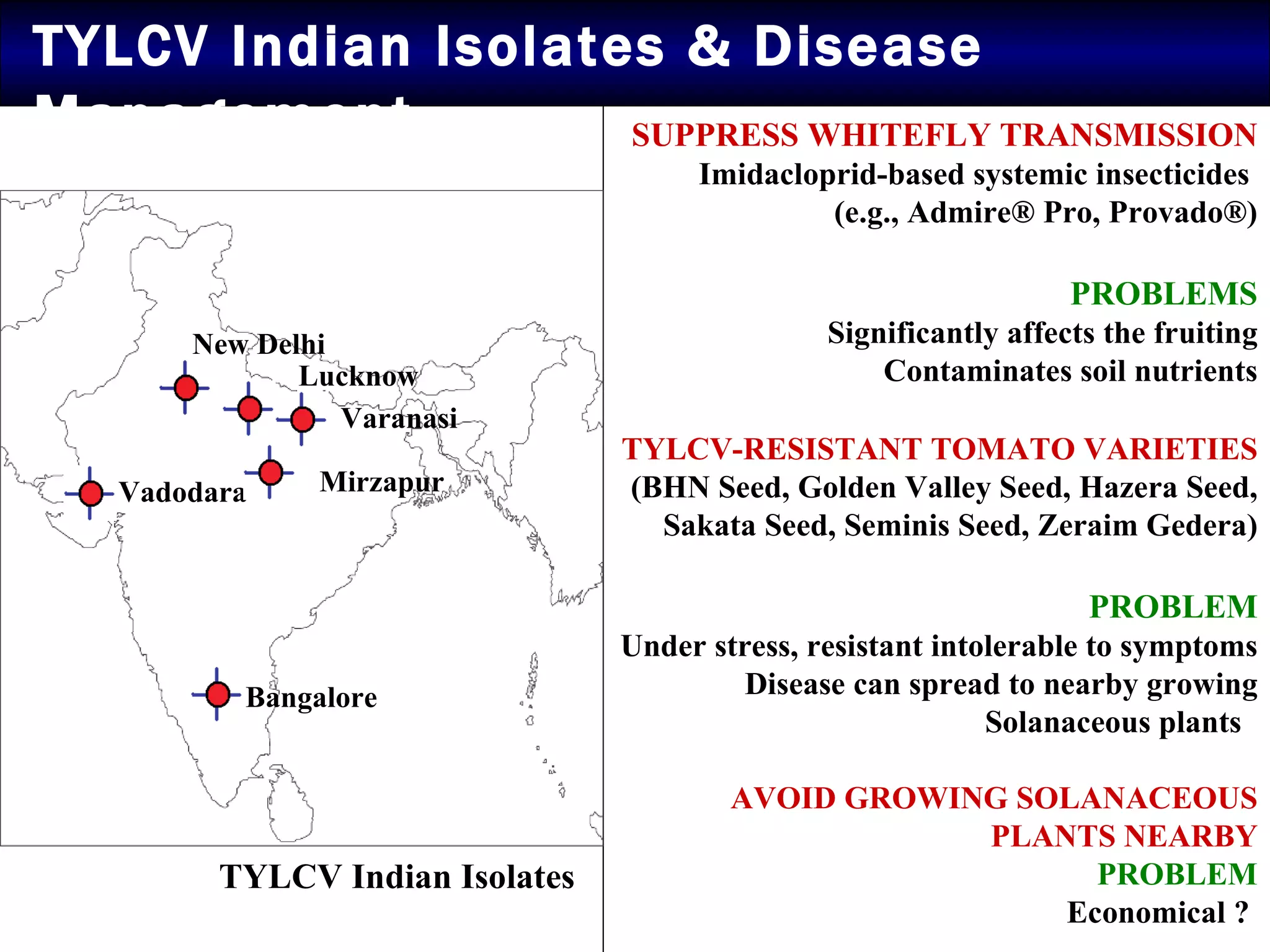 TYLCV Indian Isolates & Disease Management SUPPRESS WHITEFLY TRANSMISSION Imidacloprid-based systemic insecticides  (e.g., Admire® Pro, Provado®) PROBLEMS Significantly affects the fruiting Contaminates soil nutrients TYLCV-RESISTANT TOMATO VARIETIES (BHN Seed, Golden Valley Seed, Hazera Seed, Sakata Seed, Seminis Seed, Zeraim Gedera) PROBLEM Under stress, resistant intolerable to symptoms Disease can spread to nearby growing Solanaceous plants  AVOID GROWING SOLANACEOUS PLANTS NEARBY PROBLEM Economical ?  New Delhi Lucknow Varanasi Mirzapur Vadodara Bangalore TYLCV Indian Isolates 