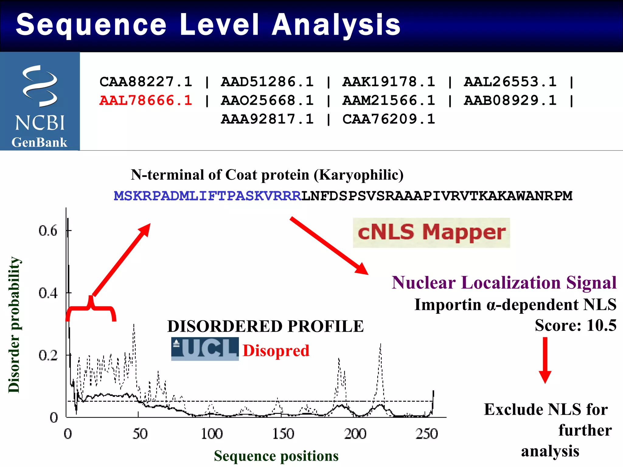 Sequence Level Analysis  GenBank CAA88227.1 | AAD51286.1 | AAK19178.1 | AAL26553.1 | AAL78666.1  | AAO25668.1 | AAM21566.1 | AAB08929.1 | AAA92817.1 | CAA76209.1 Sequence positions Disorder probability MSKRPADMLIFTPASKVRRR LNFDSPSVSRAAAPIVRVTKAKAWANRPM N-terminal of Coat protein (Karyophilic) DISORDERED PROFILE    Disopred   Nuclear Localization Signal   Importin  α -dependent NLS Score: 10.5 Exclude NLS for  further analysis 
