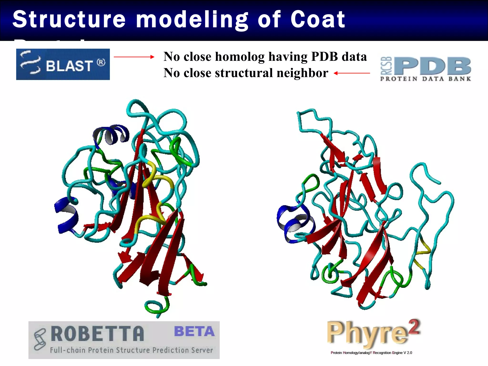 Structure modeling of Coat Protein  No close homolog having PDB data No close structural neighbor 