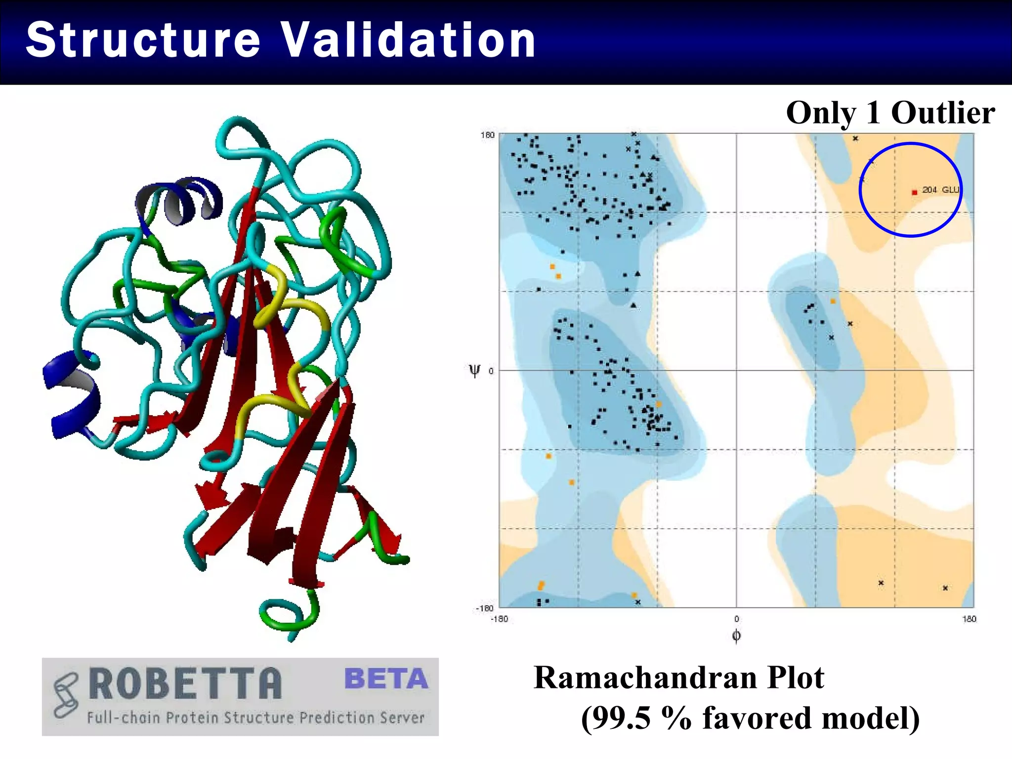 Structure Validation  Only 1 Outlier Ramachandran Plot  (99.5 % favored model) 