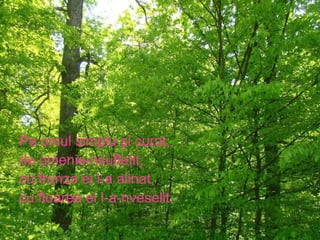 Pe omul simplu şi curat, de omenie-nsufleţit, cu frunza ei l-a alinat, cu floarea ei l-a-nveselit. 