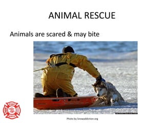 ICE RESCUE AWARENESS NFPA COMPLIANT | PPTX