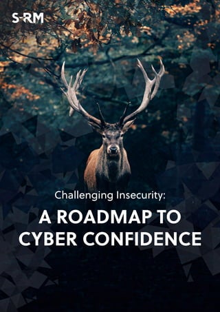 Challenging Insecurity:
A ROADMAP TO
CYBER CONFIDENCE
 