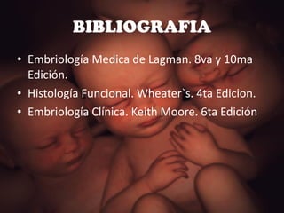 BIBLIOGRAFIA Embriología Medica de Lagman. 8va y 10ma Edición.  Histología Funcional. Wheater`s. 4ta Edicion. Embriología Clínica. Keith Moore. 6ta Edición  