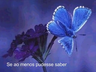 Se ao menos pudesse saber   