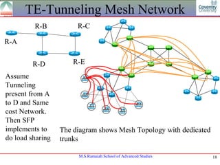 TE-Tunneling Mesh Network
         R-B           R-C

R-A


         R-D          R-E
Assume
Tunneling
present from A
to D and Same
cost Network.
Then SFP
implements to     The diagram shows Mesh Topology with dedicated
do load sharing   trunks

                       M.S.Ramaiah School of Advanced Studies      18
 