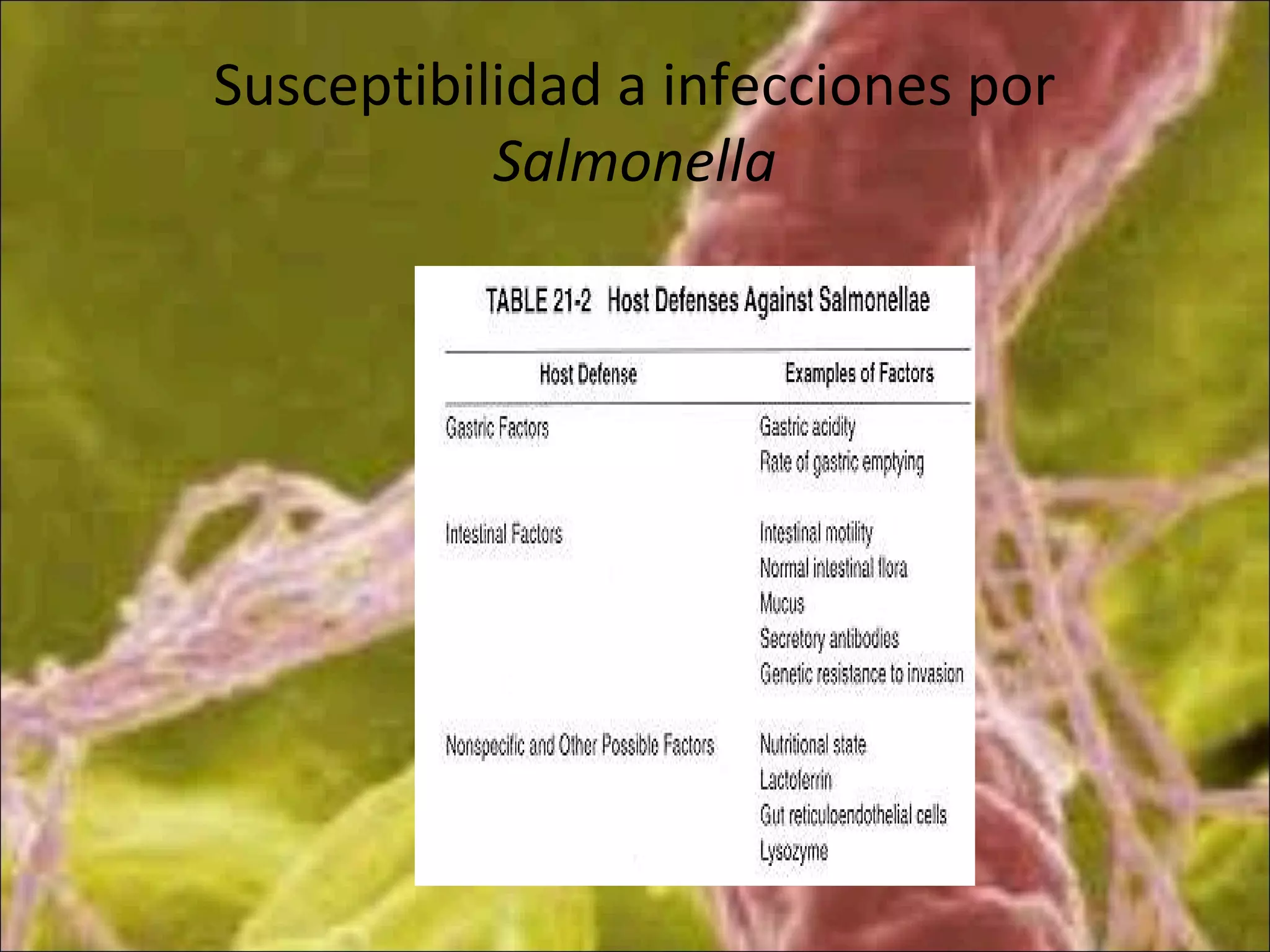 Susceptibilidad a infecciones por
Salmonella
 