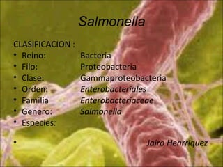 Salmonella
CLASIFICACION :
• Reino: Bacteria
• Filo: Proteobacteria
• Clase: Gammaproteobacteria
• Orden: Enterobacteriales
• Familia Enterobacteriaceae
• Genero: Salmonella
• Especies:
• Jairo Henrriquez
 
