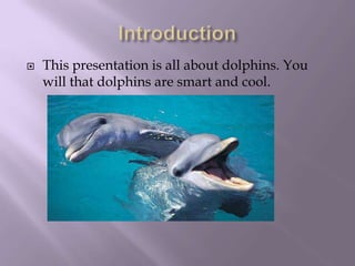 Introduction   This presentation is all about dolphins. You will that dolphins are smart and cool.