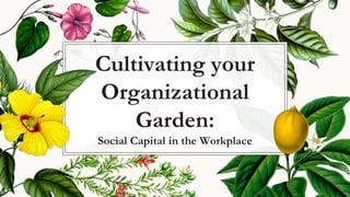 Cultivating your
Organizational
Garden:
Social Capital in the Workplace
 