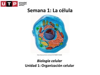 Semana 1: La célula
Biología celular
Unidad 1: Organización celular
https://www.pinterest.com/pin/574279389977233269
 