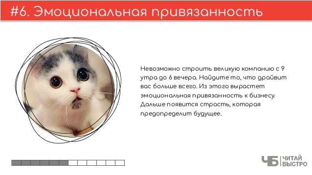 Генератор краткого содержания