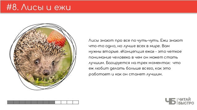 Текст про ежика. Животные красной книги даурский еж. А ёжики е утся. Размер лесного ежа. Как пишется ежик.